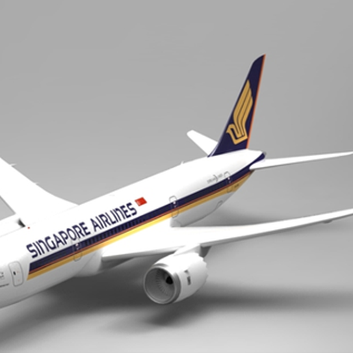 STL file Boeing 787 Dreamliner・3D printing model to download・Cults