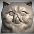 Zrzut-ekranu-2025-06-14-111250.png Persian cat head for 3D printing