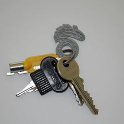 a1bf5d25e4bf96bd30962dc71a8eb11d_display_large.jpg Free STL file Shadowrun logo key-ring / key-token・3D printer design to download