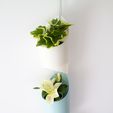 3-x-Wall-planter_-01.jpg Indoor wall hanging planter, organizer containers, beauty tools, wall decoration
