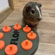 IMG_7469.jpeg Interactive feeding toy - guinea pig, rabbit , and others
