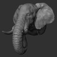 37.jpg Descargar archivo OBJ Cabeza de elefante • Plan para imprimir en 3D, guninnik81