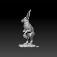 r2.jpg rabbit - realistic rabbit - decorative rabbit
