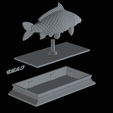 Carp-money-7.png fish sculpture of a carp with storage space for 3d printing