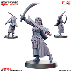 FTY_04_ARABY_BLADE_MISTRESS_C.png Araby Blade Mistress C