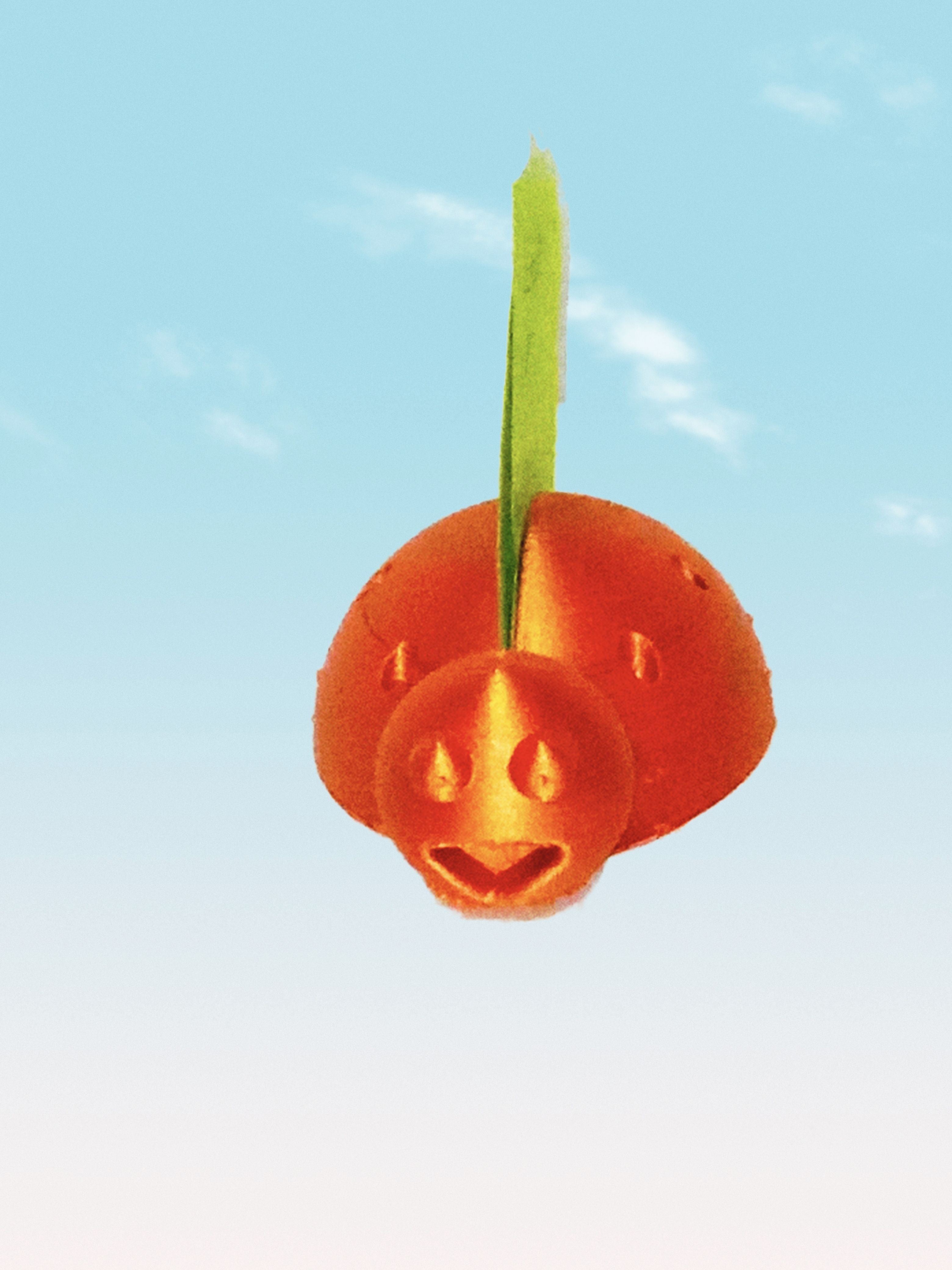 Download STL file Postit note or office key ring ladybug • 3D printer