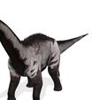 r.jpg DINOSAUR DOWNLOAD Sauropod DINOSAUR Sauropod 3D MODEL - BLENDER - 3DS MAX - CINEMA 4D - FBX - MAYA - UNITY - UNREAL - OBJ -  ANIMATED Sauropod Sauropod DINOSAUR DINOSAUR DINOSAUR Sauropod