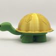 P20128-125313.jpg A cute turtle box