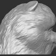 8.jpg Puppy of Pomeranian dog head for 3D printing