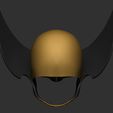 5.jpg Wolverine Helmet