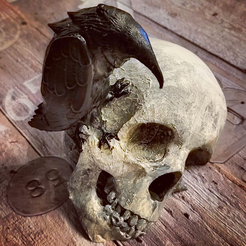 Screenshot_2022-11-11-17-05-57-492_com.instagram.android.png skull with crow