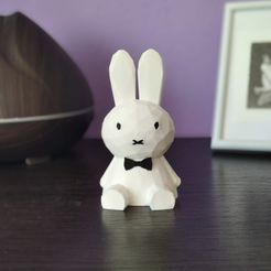 IMG_20200810_100840.jpg Polygon Bunny