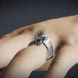 47437F97-D673-46D8-B9BD-522C049CEDF3.jpeg Bat ring