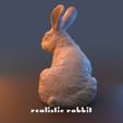 rr4.jpg Realistic Lifesize Rabbit