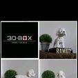 rambo2.jpeg I'M 3D-BOX : TEDDY, RAMBO,VIGO