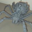0d108aab-4206-4413-ba51-89dfcb5da69b.jpg Grounded 2- Max and Orb weaver Spider