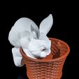 Cottontail-Rabbit-Basket-6.jpg Cestino a forma di coniglio dal codino bianco