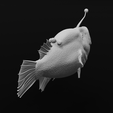 24.png Triplewart Seadevil - Cryptopsaras Couesii - Realistic Angler Fish