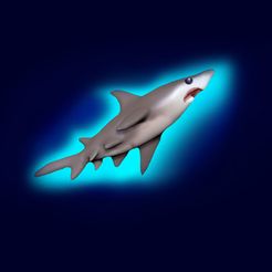 shark 3d .jpg Fichier STL gratuit Requin affamé・Modèle pour imprimante 3D à télécharger