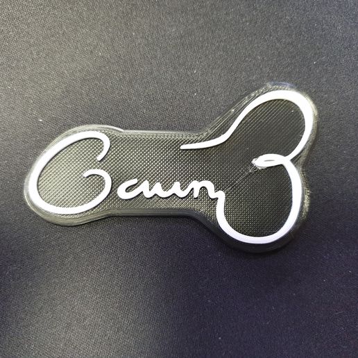 🖥️ Silicon Valley Gavin Belson Signature Edition logo・3D Print・Cults