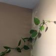 signal-2022-02-13-160947_001.jpeg STL file Leaf-Shaped Vine Clip・3D print design to download