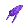 humpback_swim_half.stl Humpback Whale