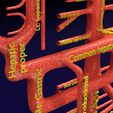 PS0047.jpg Human arterial system schematic 3D