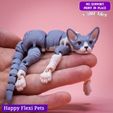 Sphynx_fidget_8_whinkly_cat.jpg Jouet fidget réaliste pour chat Sphynx (#93)