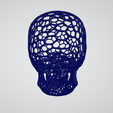 skull voronoi photo4.png Voronoi Skull 3D print model