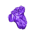 STL00001.stl 3D Model of Human Heart with Atrial Septal Defect (ASD) - generated from real patient
