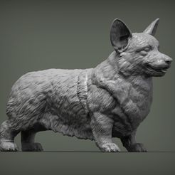 corgi-3d-model-0aa4379bdd.jpg Файл 3D corgi 3D print model・3D модель для печати скачать