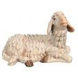 oveja-belen.jpg Oveja