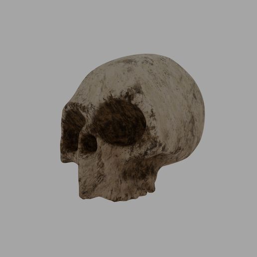 skull