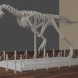 untitled7.png Carnotaurus skeleton 60 cm 3d print