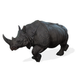KK.png Rhino Walk ANIMATED