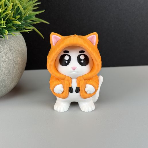 IMG_4970.jpg Gato con capucha