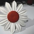 editable-8.jpg 3D Sunflower