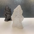 gnomes-1.jpg Voronoi MakerBot Gnome