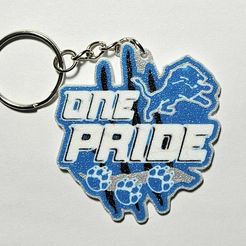 421161286_10160018060722857_1163913816429659880_n.jpg Detroit Lions One Pride keychain