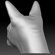 8.jpg Sphynx cat head for 3D printing