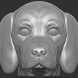 3.jpg Puppy of Pointer dog head for 3D printing