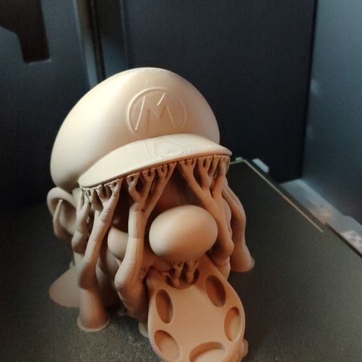 IMG-20241026-WA0001.jpeg Busto Educativo de Mario