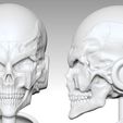 4.jpg Skull Frieza - Freezer Skull