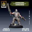2.jpg Commando Commander