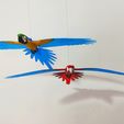 IMG_20240621_163233091.jpg Flying Macaw
