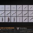 60-VDM-and-Alpha-Hair-and-Fur-Brushes-for-ZBrush-Sculpted-By-Yacine-BRINIS-Volume-01-Set-003.jpg 60 VDM and Alpha Texture Hair and Fur Brushes Volume 01