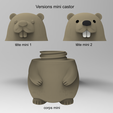 versions-mini-Castor.png Caja de ricino