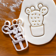 Snímek-obrazovky-2022-11-14-210702.png Set of three suculents cookie cutters