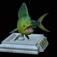 mahi-mahi-model-1-13.png fish mahi mahi / common dolphin trophy statue detailed texture for 3d printing