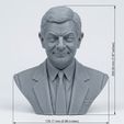 eb5d611b-79c7-458d-a0b6-e09aa77b10e8.jpg Mr. Bean 3D Printable Bust